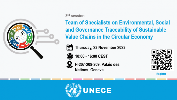 Team of Specialists on Environmental, Social and Governance Traceability of Sustainable Value Chains in the Circular Economy - Third Session