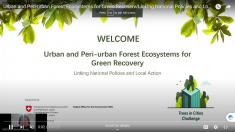 Urban and Peri-urban Forest Ecosystems for Green Recovery. Linking National Policies and Local Action (ENG)