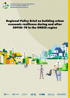 Regional Policy Brief on Building Urban Economic Resilience during and  after COVID-19 in the UNECE Region | UNECE