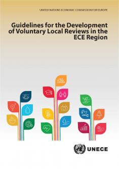 Voluntary Local Reviews (VLRs)