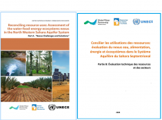 2.	Reconciling resource uses: Assessment of the water-food-energy-ecosystems nexus in the North Western Sahara Aquifer System, Part A & B