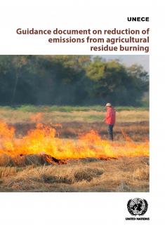 Guidance document on reduction of emissions from agricultural residue burning