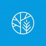 UNECE/FAO Forests logo blue