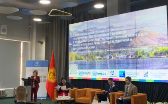 seminar on the creative economy in Central Asia