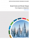 Boreal forests at risk of losing their captured carbon, says new UNECE policy brief