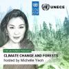 Michelle Yeoh on UN Forest Podcast