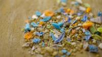 Microplastic pollution