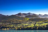 forested mountain beside lake shore