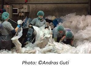 Women cleaning plastic garbage