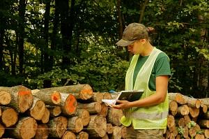 Woman working in forestry
