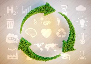 UNECE focuses on transformative innovation for sustainable future